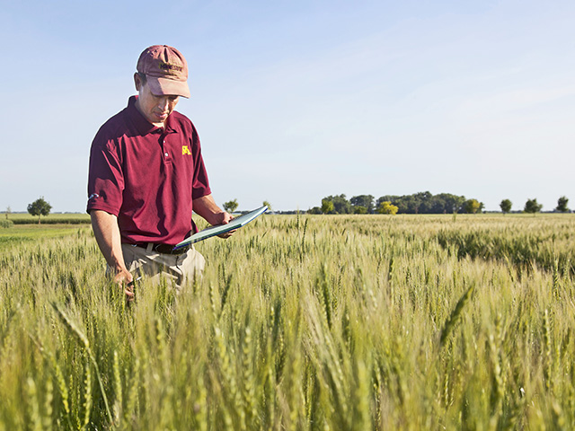 Field research, such as this at the University of Minnesota, can provide groundwork breakthroughs in agricultural technologies. (Progressive Farmer photo by David L. Hansen)